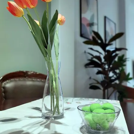 Estia Apartment, Cozy, Spacious, Sunny, 2 Rooms-5 Beds Appartement